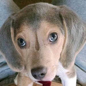 Meet your Posher, Maddy